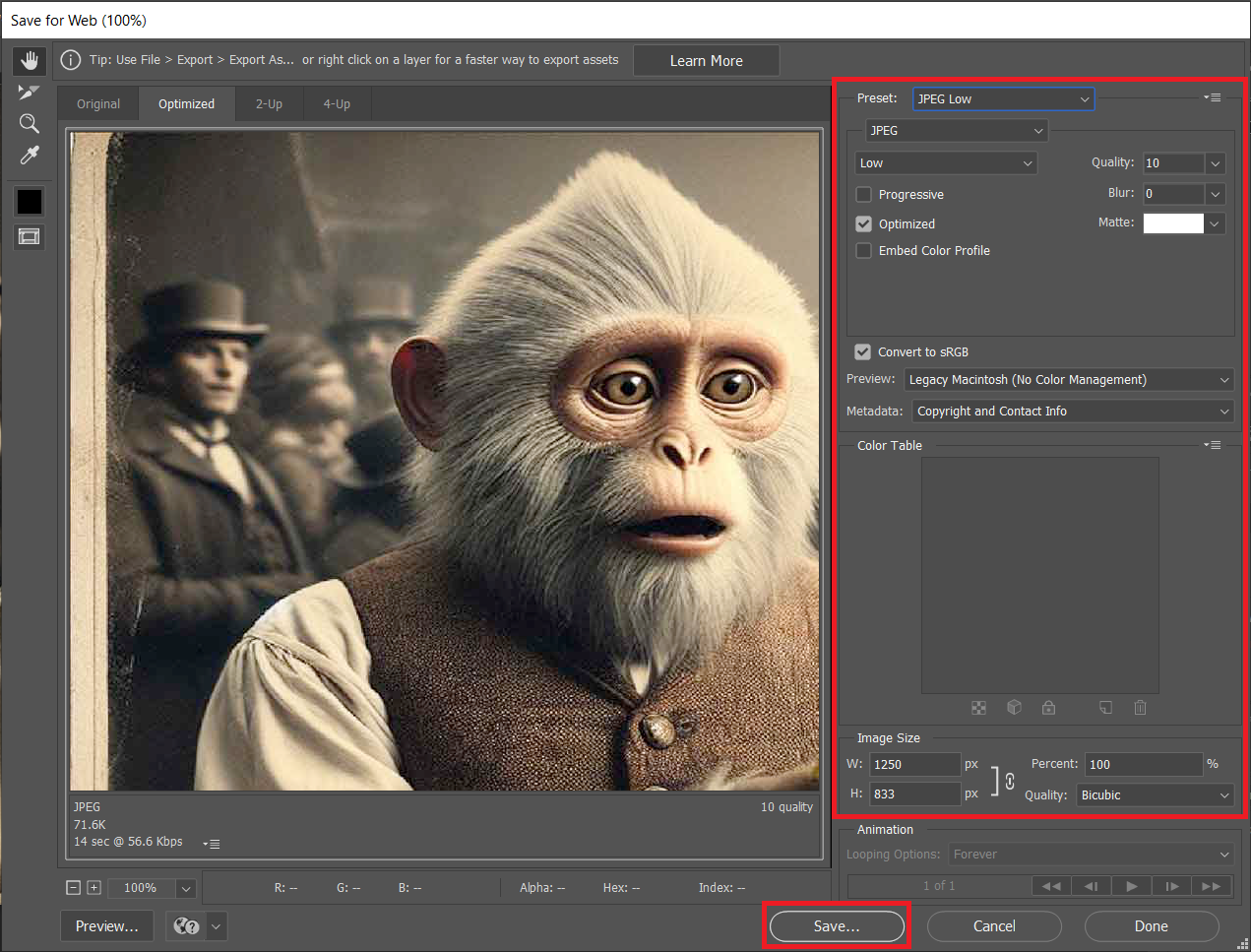 How To Use Photoshop on Windows: Step 5