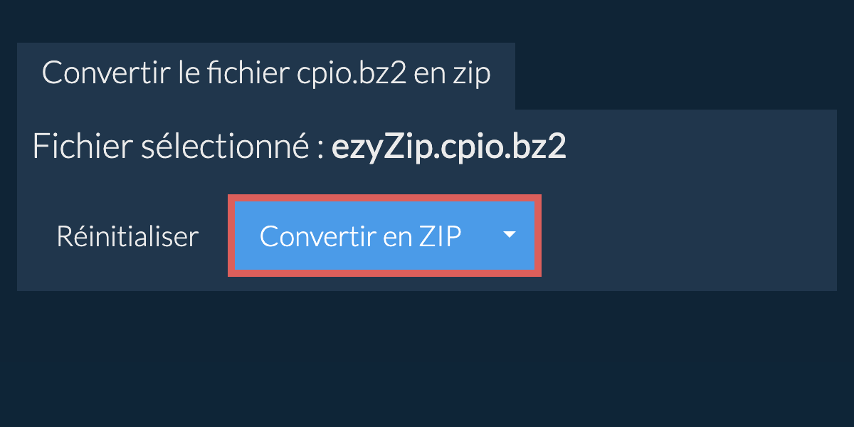 Démarrer la conversion en zip