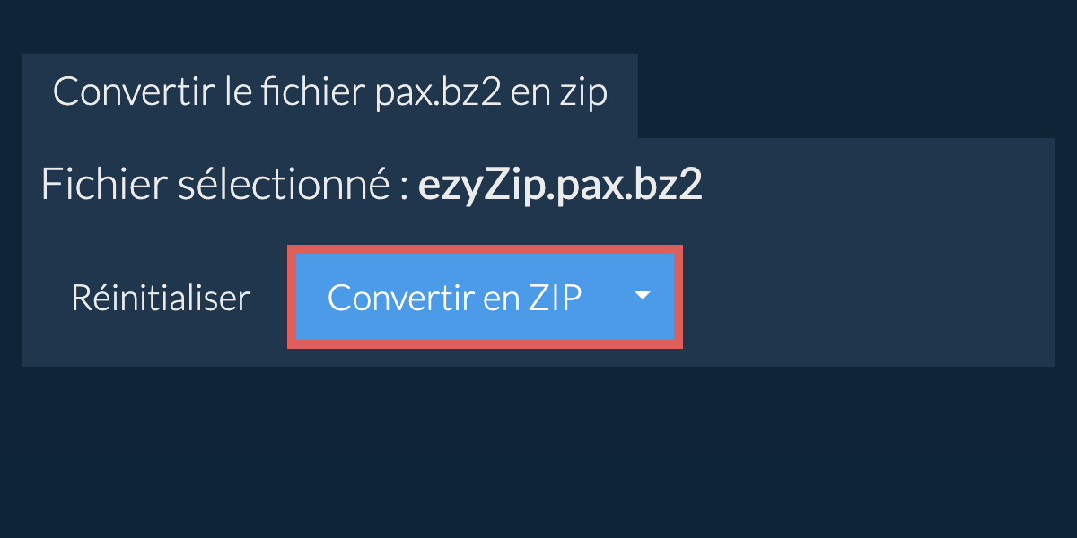 Démarrer la conversion en zip