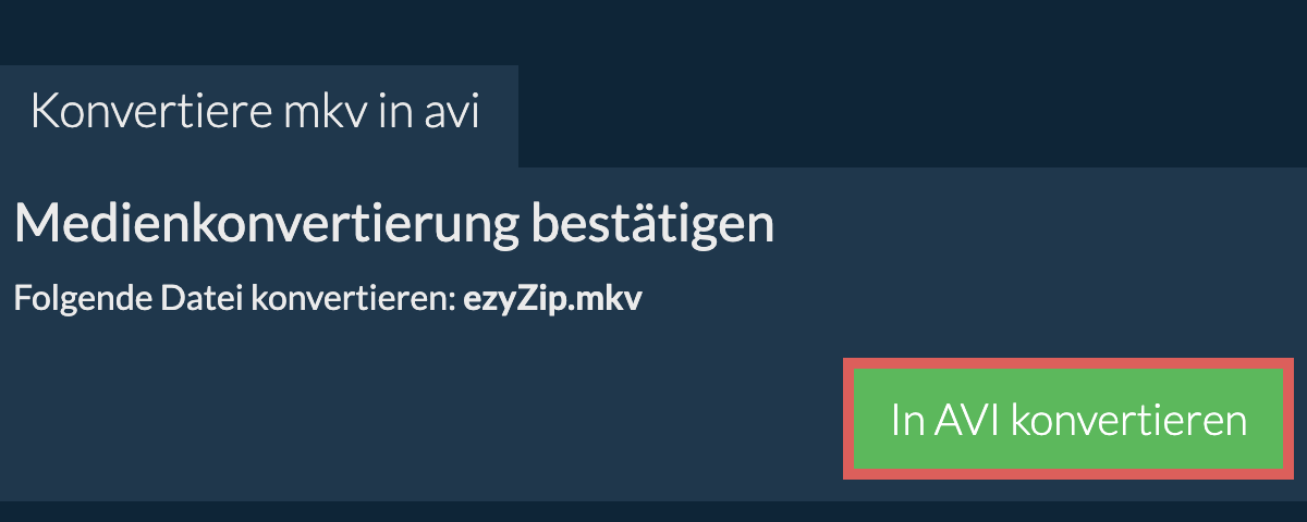 In AVI konvertieren