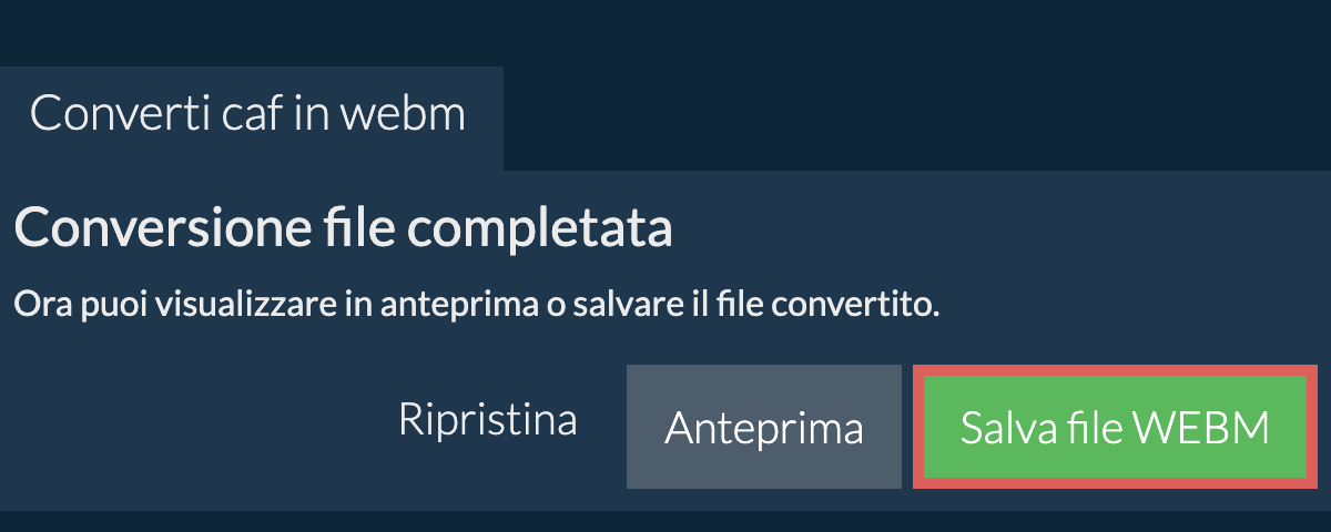 Converti in WEBM