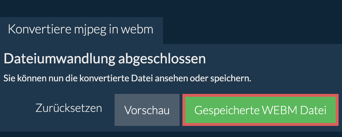 In WEBM konvertieren
