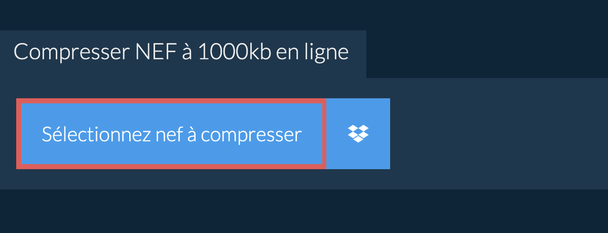 Compresser nef à 1000kb en ligne