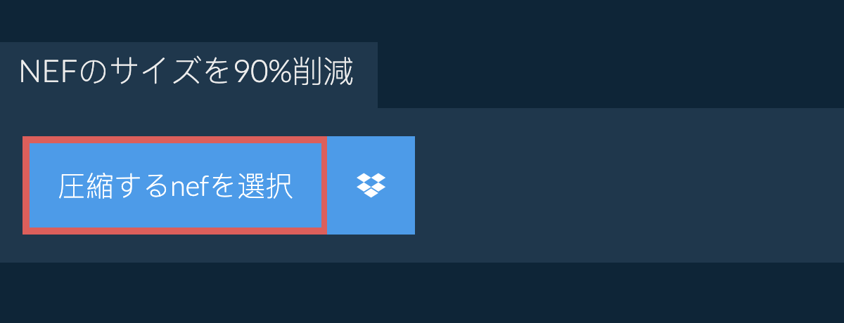 nefのサイズを90%削減