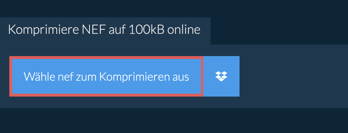 Komprimiere nef auf 100kB online