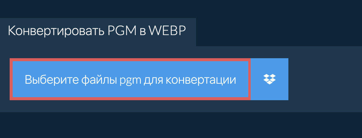 Конвертировать pgm в webp